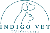 indigovet-logo