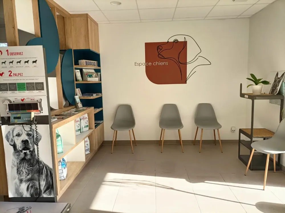 clinique vétérinaire à Sainte-Hélène