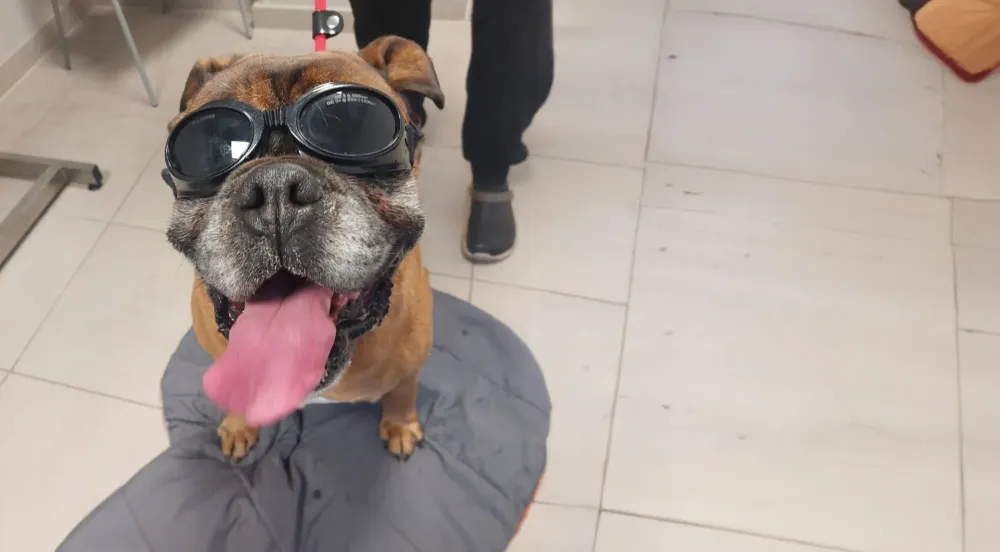 therapie-laser-banner