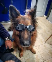 156923492_1656726361181042_129603131879465799_n