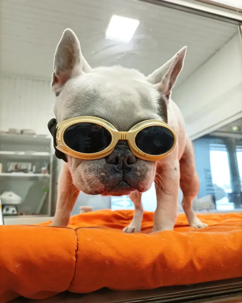 489444839_1206046178187618_8936367362873223265_n