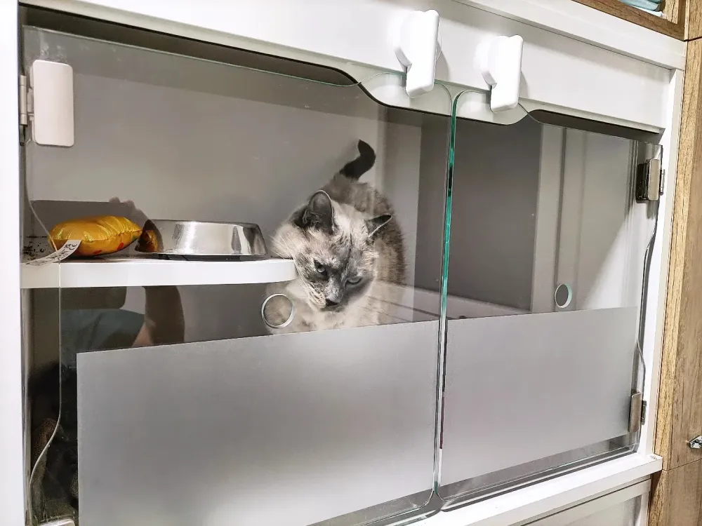 491491298_1215188780606691_9025001899374522234_n