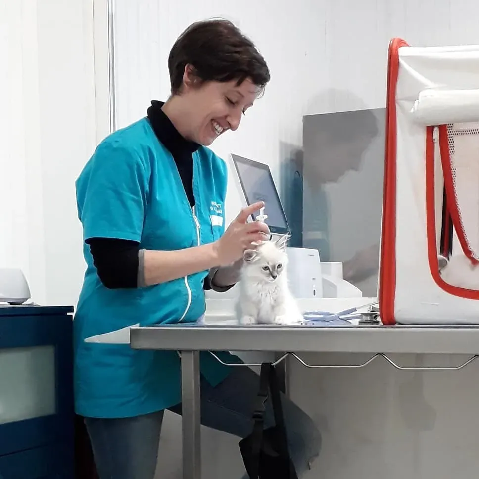 73144616_1246788388841510_2542184618447077376_n