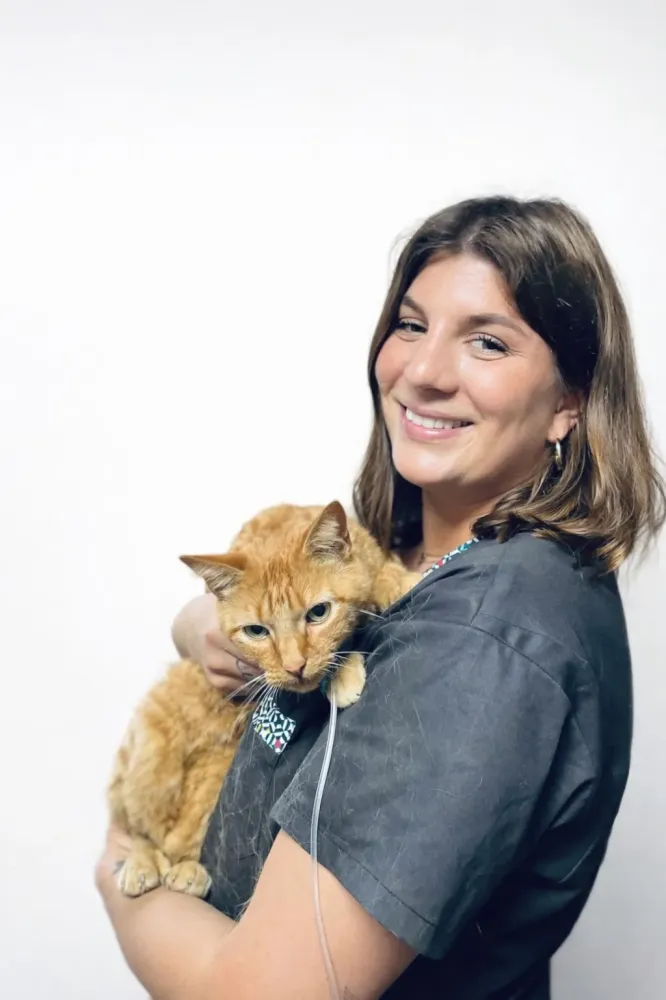 IMG-20260213-WA0020 (1)