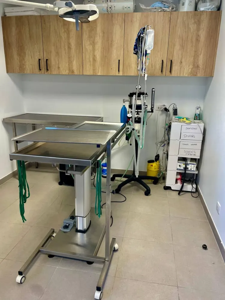 497842280_10162303077659627_2080758698016642054_n (1)