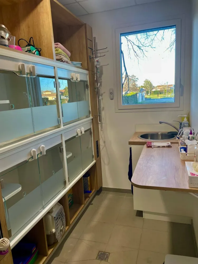 498303901_10162303077794627_1446736065307114767_n (1)